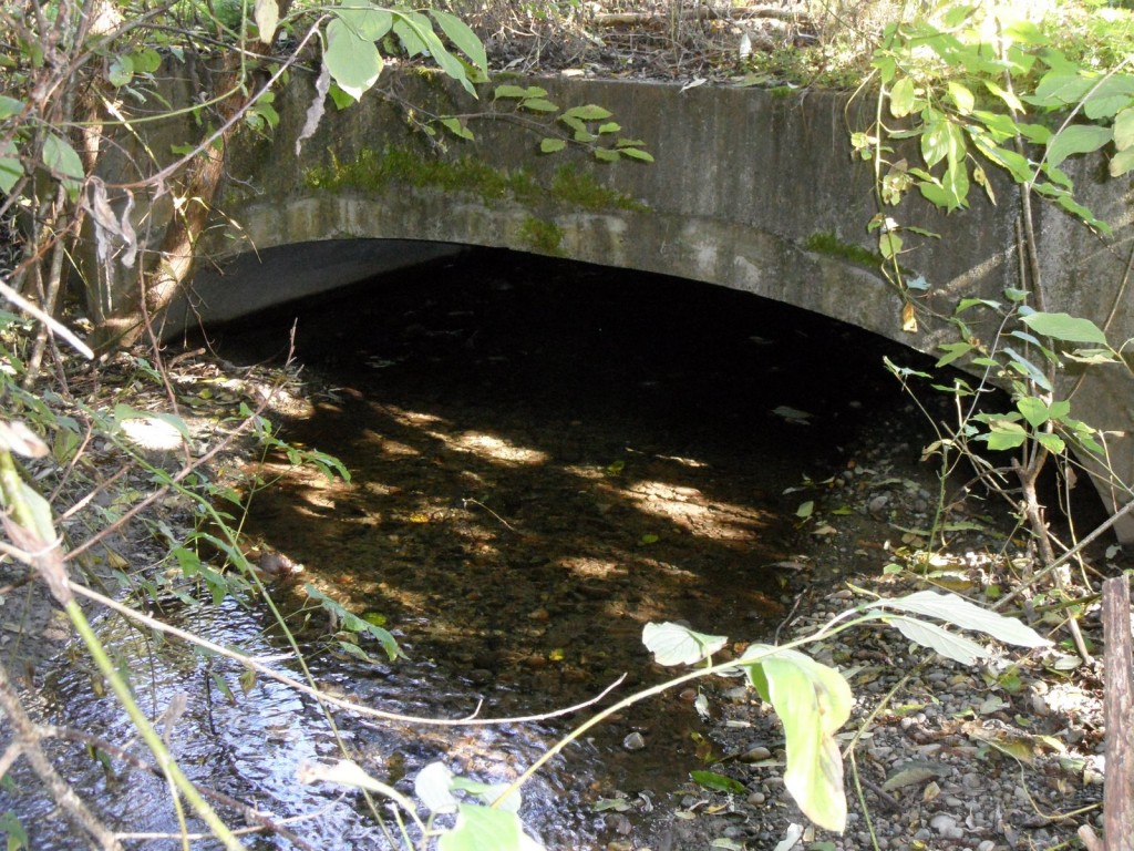 Culvert & Preserve 001