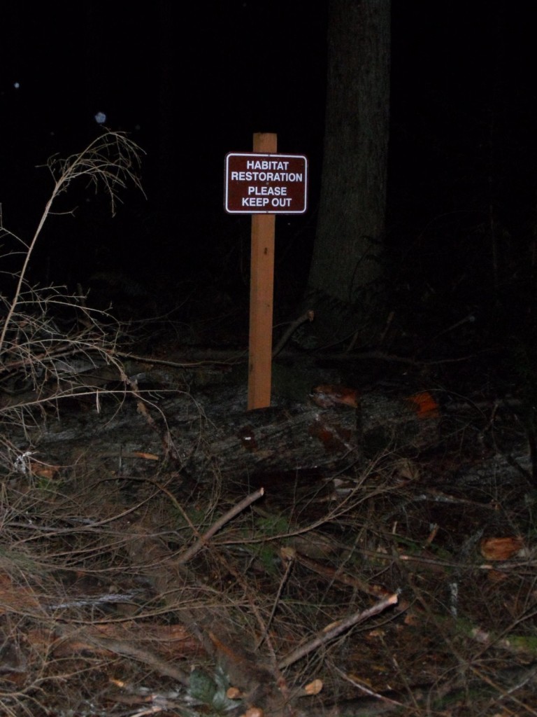Misc Preserve 005