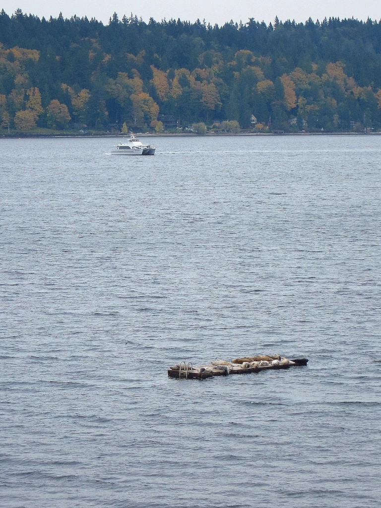 IMG_2862
