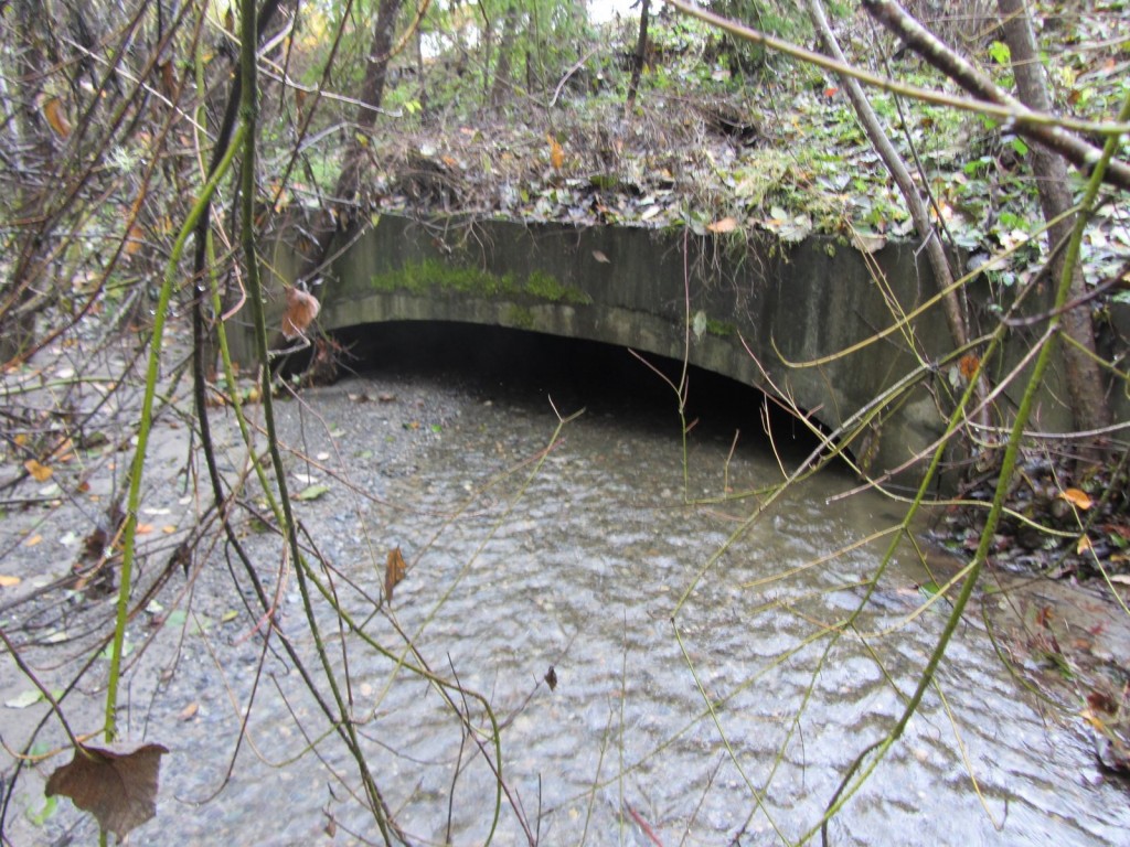 Illahee Creek & Others 139